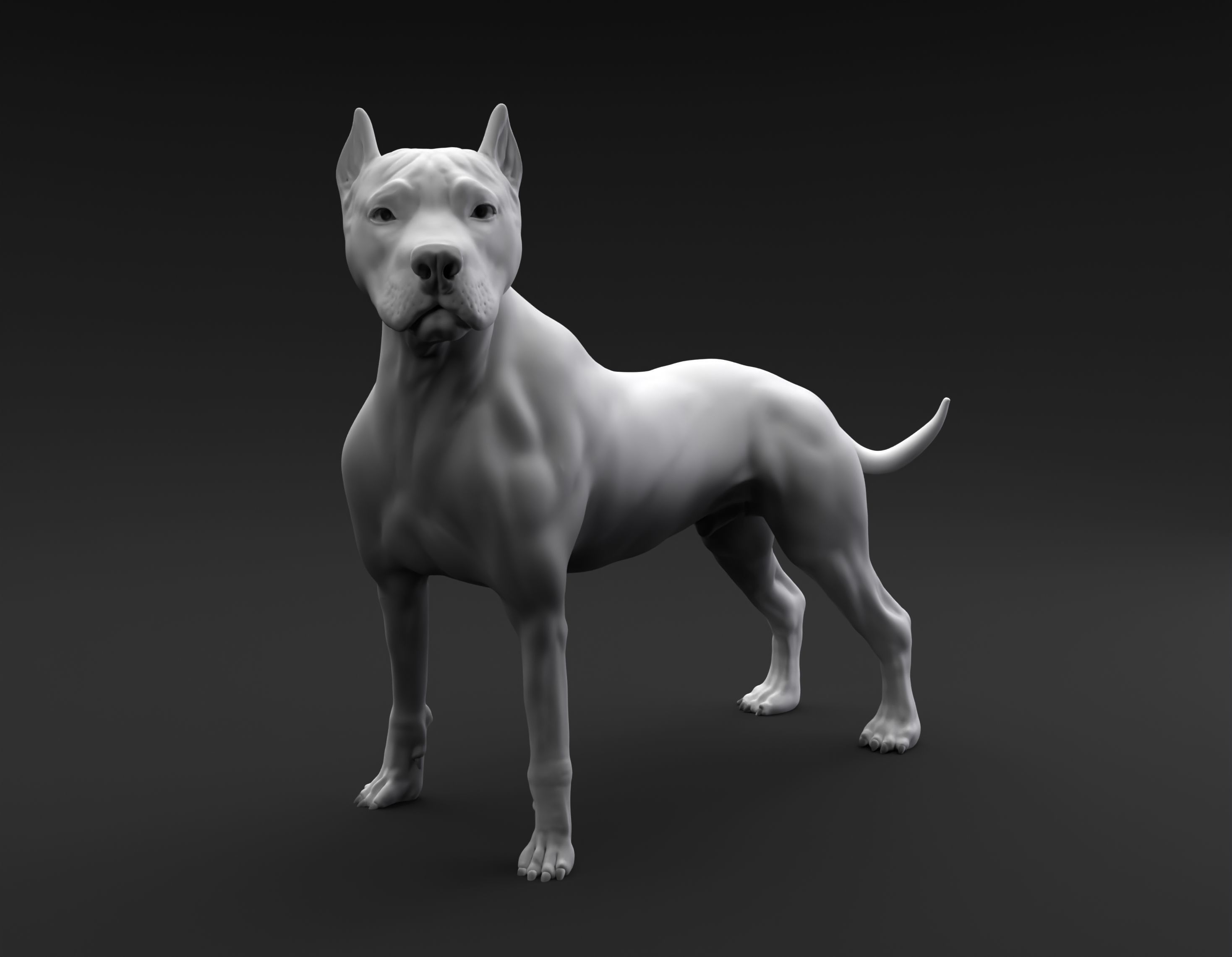 Pit Bull Terrier intended for 3D printing 3D print model_1
