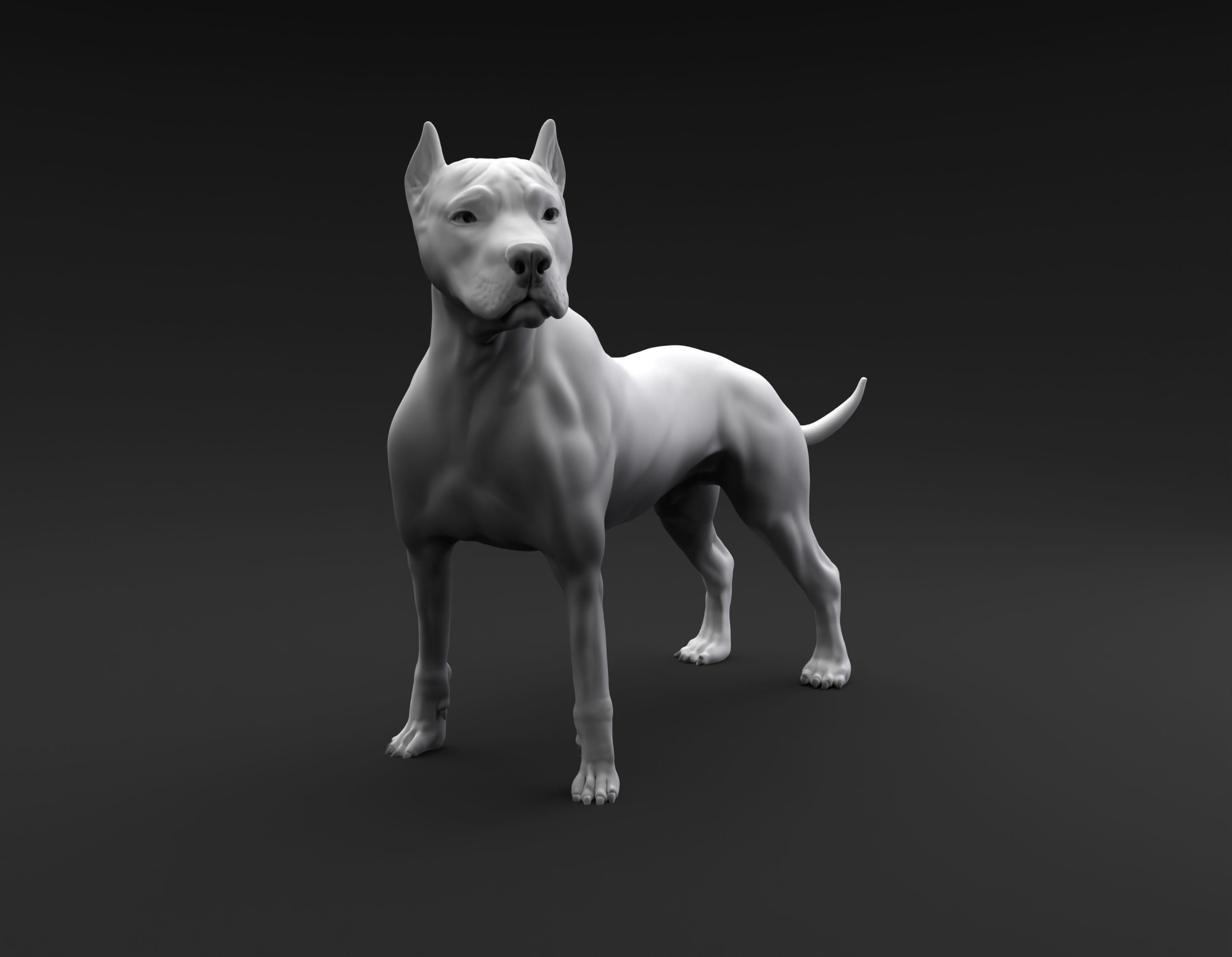 Pit Bull Terrier intended for 3D printing 3D print model_3