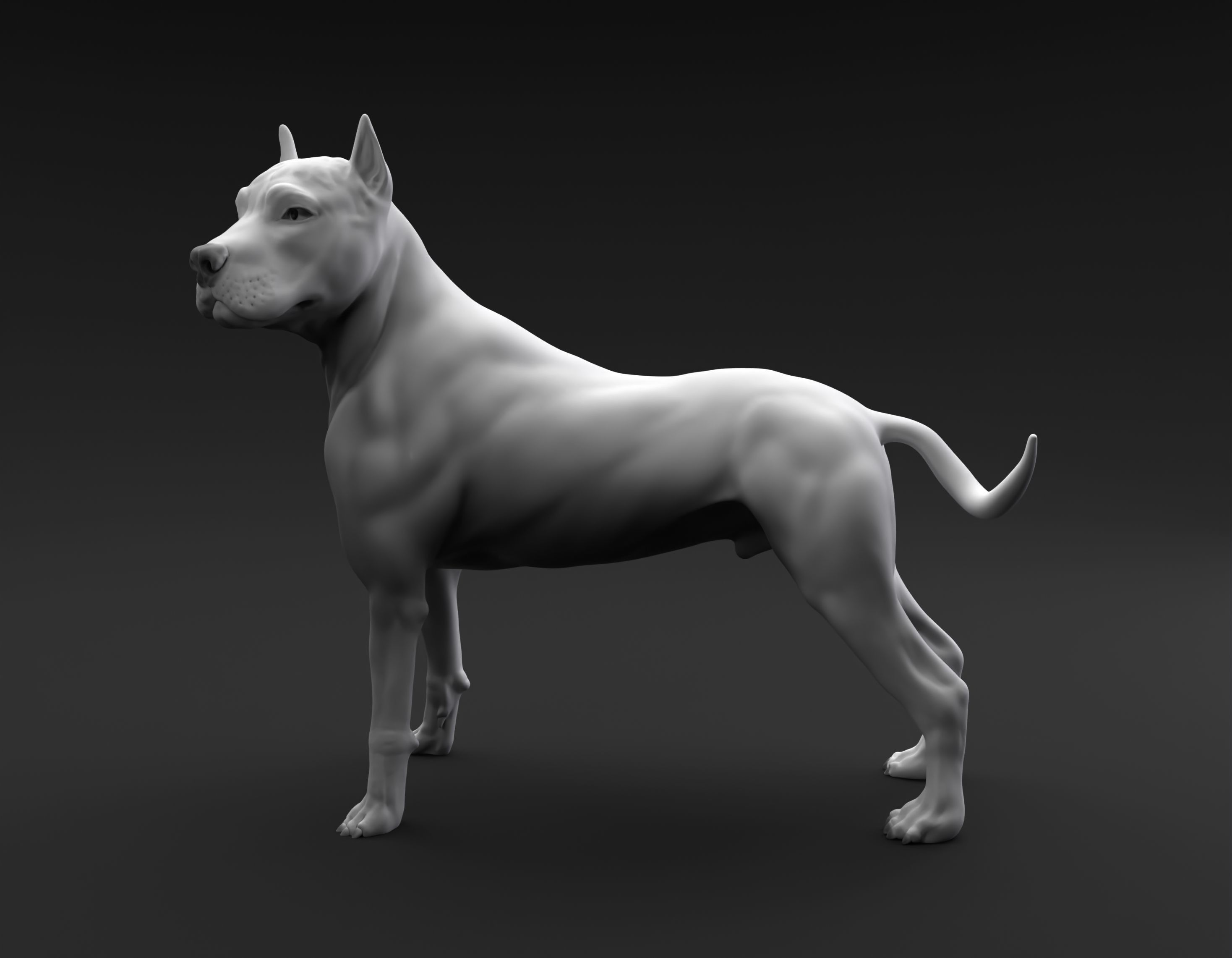 Pit Bull Terrier intended for 3D printing 3D print model_4