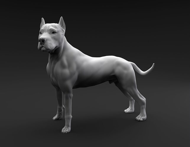 Pit Bull Terrier intended for 3D printing 3D print model