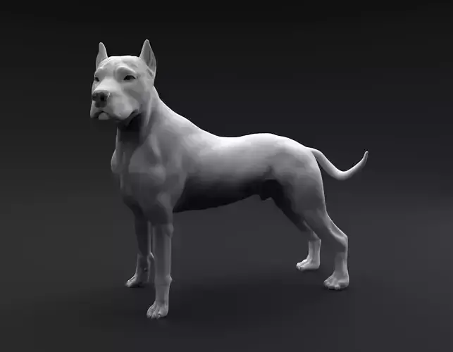 Pit Bull Terrier intended for 3D printing 3D print model