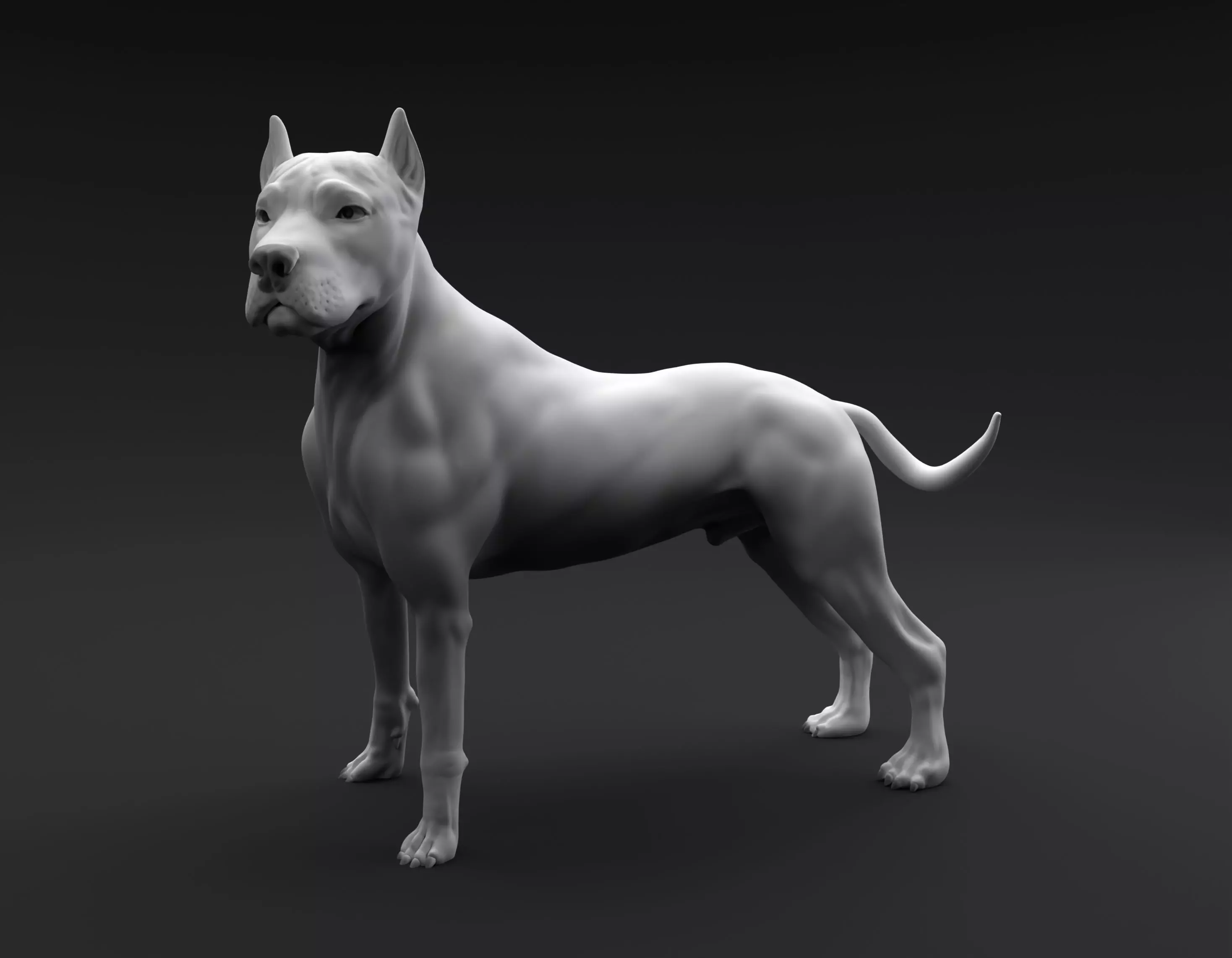 Pit Bull Terrier intended for 3D printing 3D print model_0
