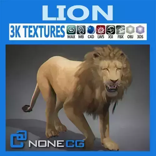 Lion 3D