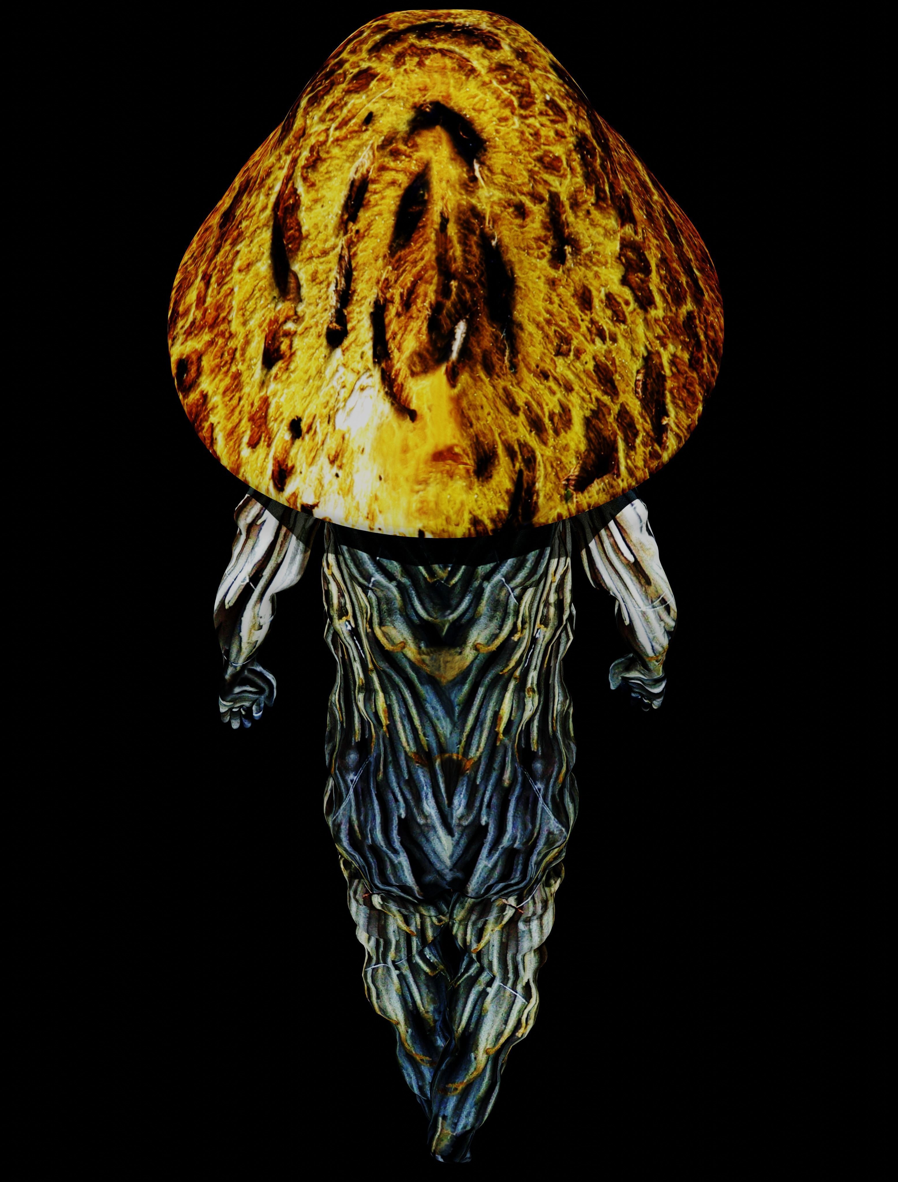 Mushrooman - Grzybiak - No2 Low-poly 3D model_6