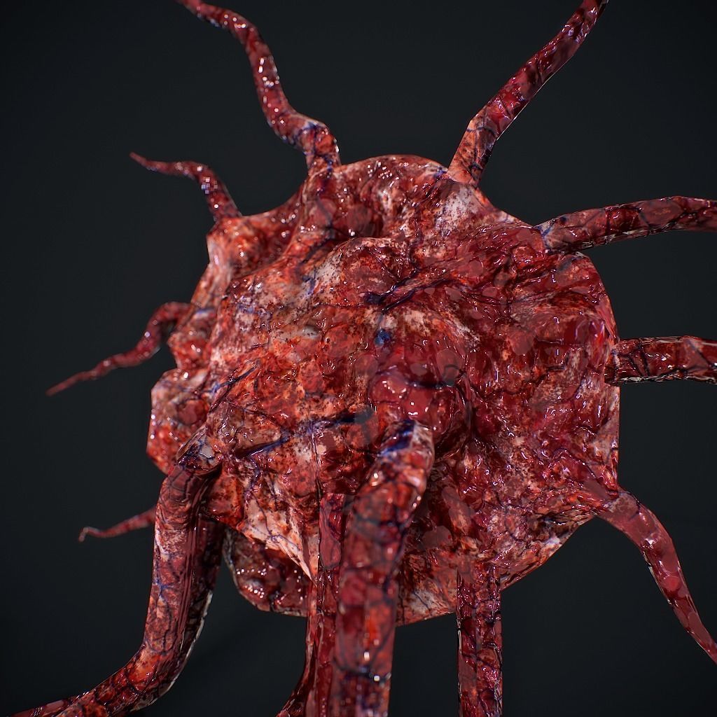 Mutated Flesh Tentacles Low-poly 3D model_13