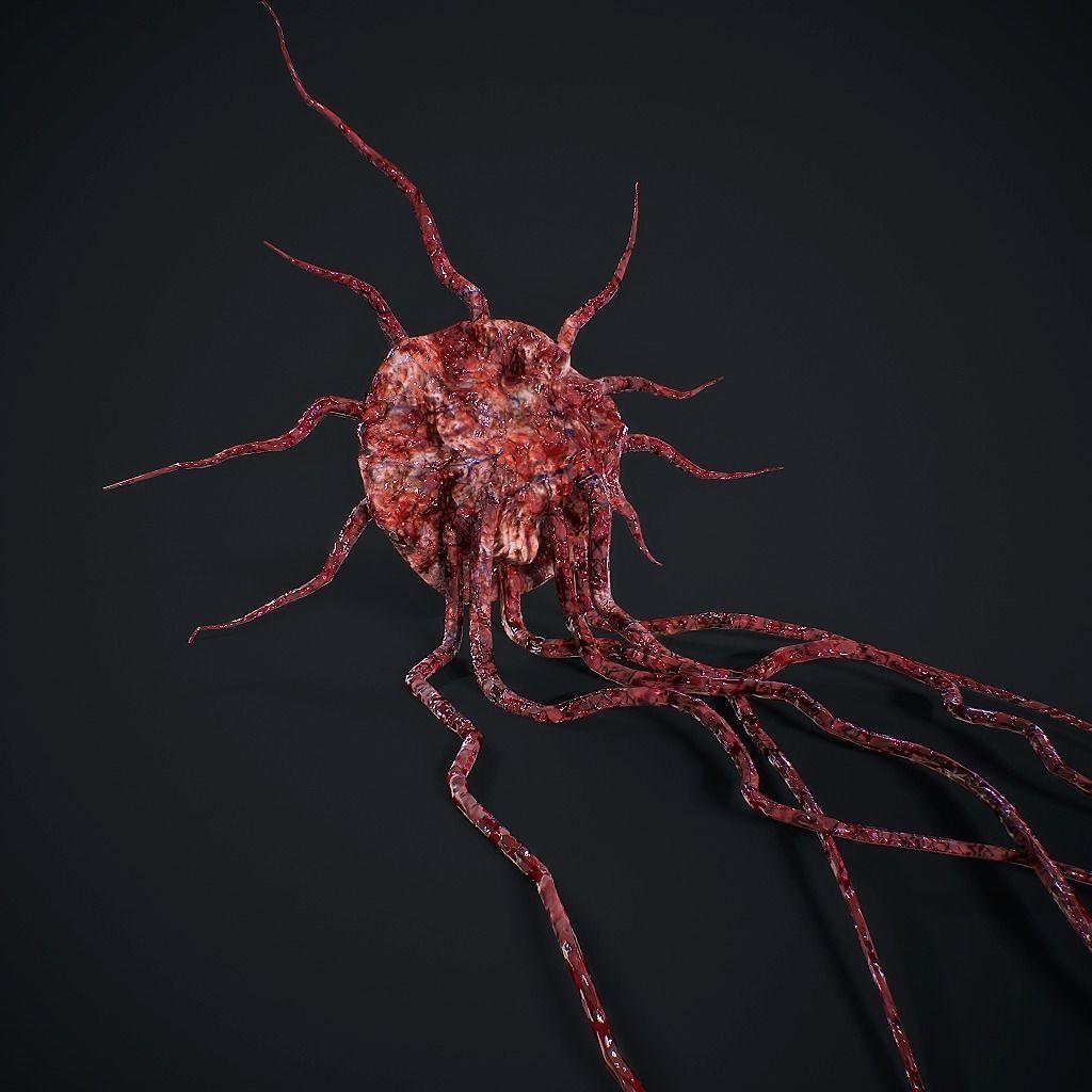 Mutated Flesh Tentacles Low-poly 3D model_8