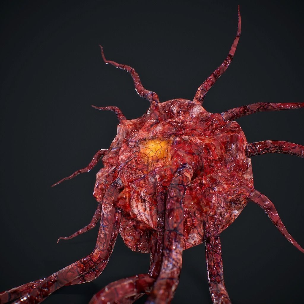Mutated Flesh Tentacles Low-poly 3D model_5