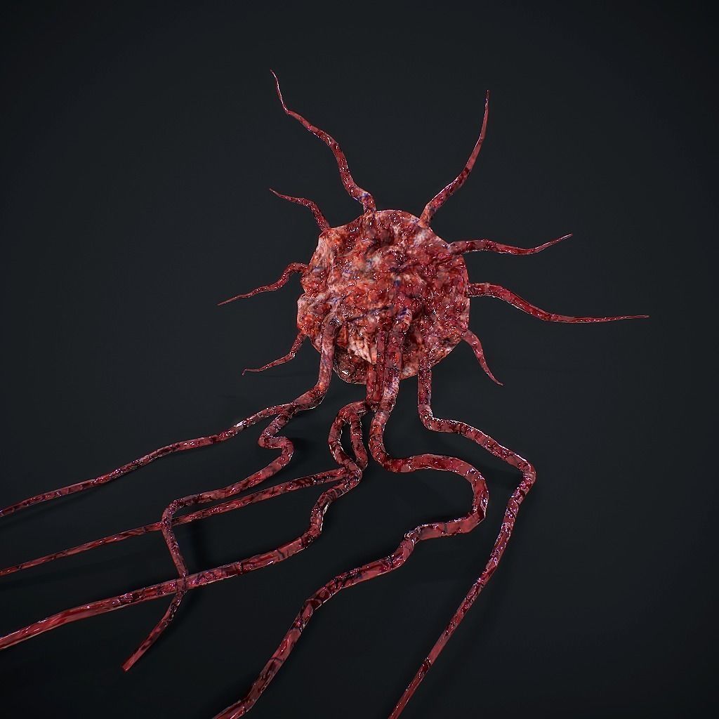 Mutated Flesh Tentacles Low-poly 3D model_9