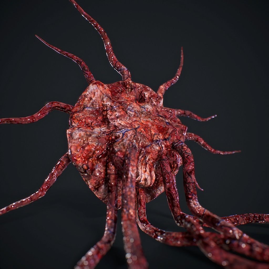 Mutated Flesh Tentacles Low-poly 3D model_12