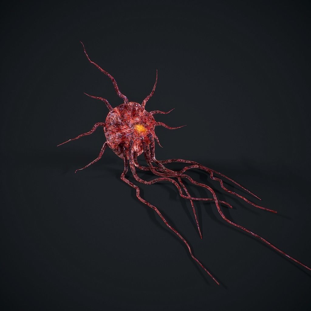 Mutated Flesh Tentacles Low-poly 3D model_4