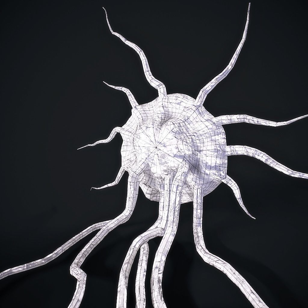 Mutated Flesh Tentacles Low-poly 3D model_19