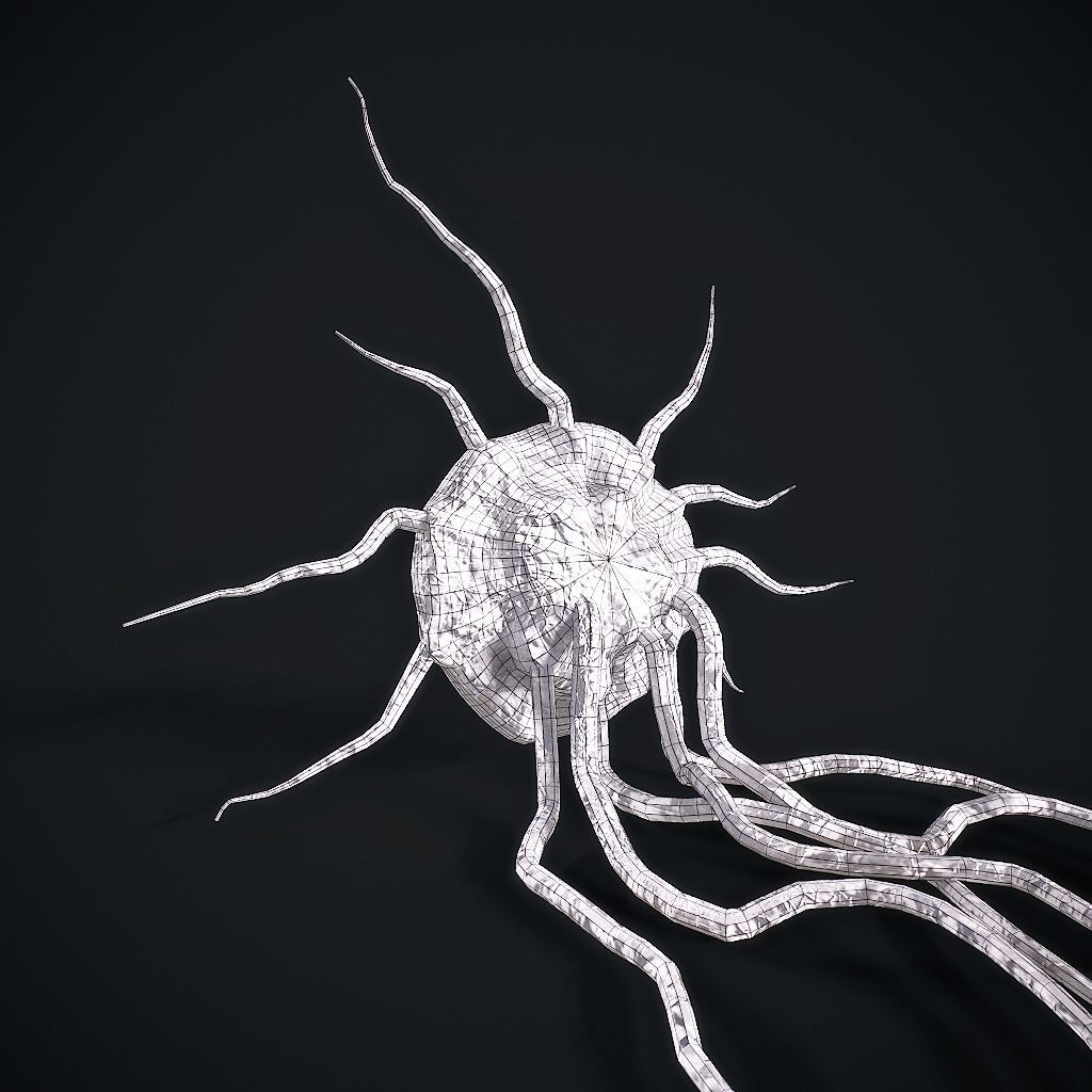 Mutated Flesh Tentacles Low-poly 3D model_20