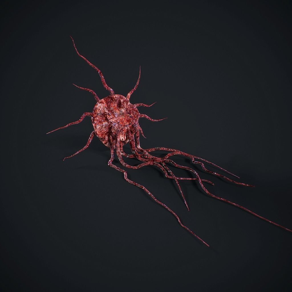 Mutated Flesh Tentacles Low-poly 3D model_10