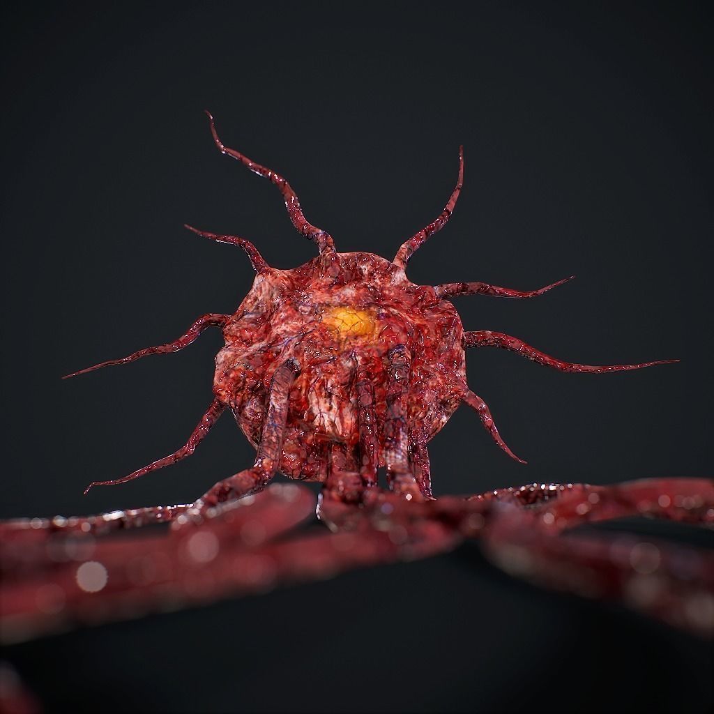 Mutated Flesh Tentacles Low-poly 3D model_7