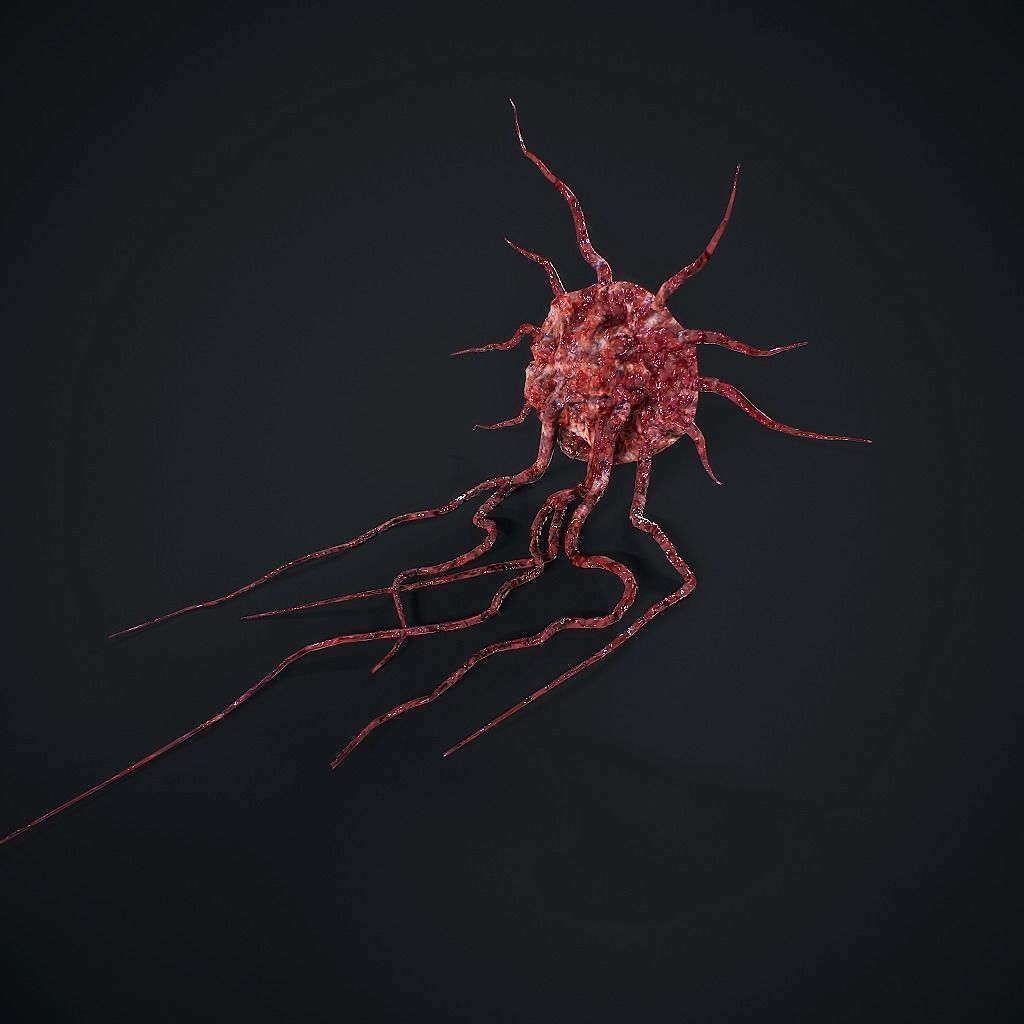 Mutated Flesh Tentacles Low-poly 3D model_11