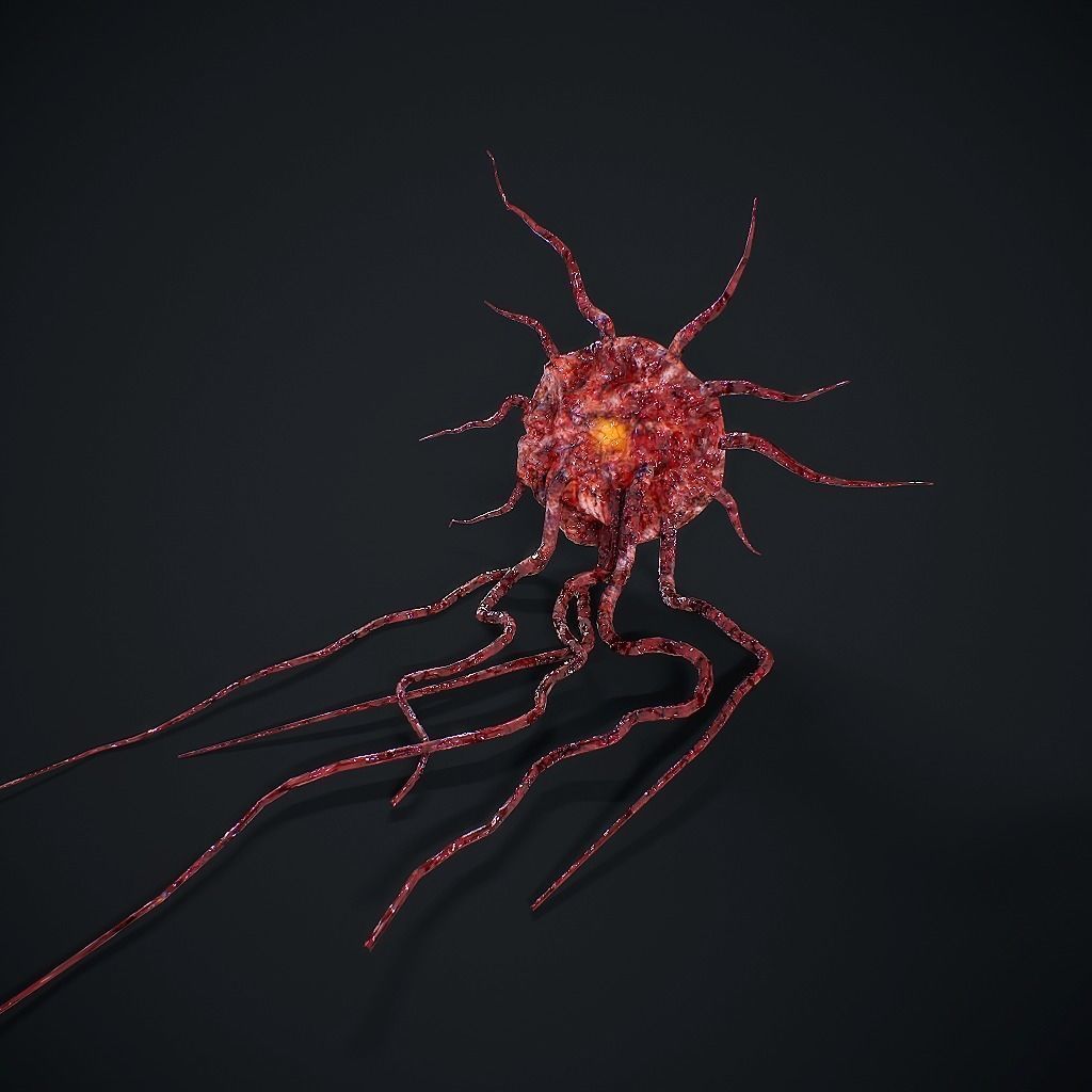 Mutated Flesh Tentacles Low-poly 3D model_3