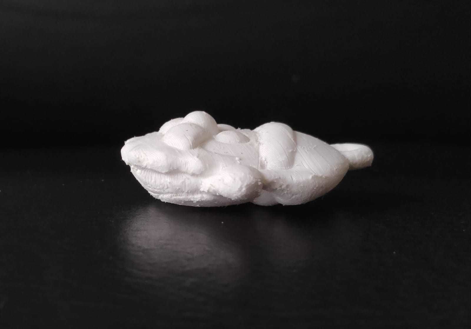 Christmas Ornaments - Santa Claus 3D print model_9