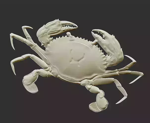 a crab 3D print model