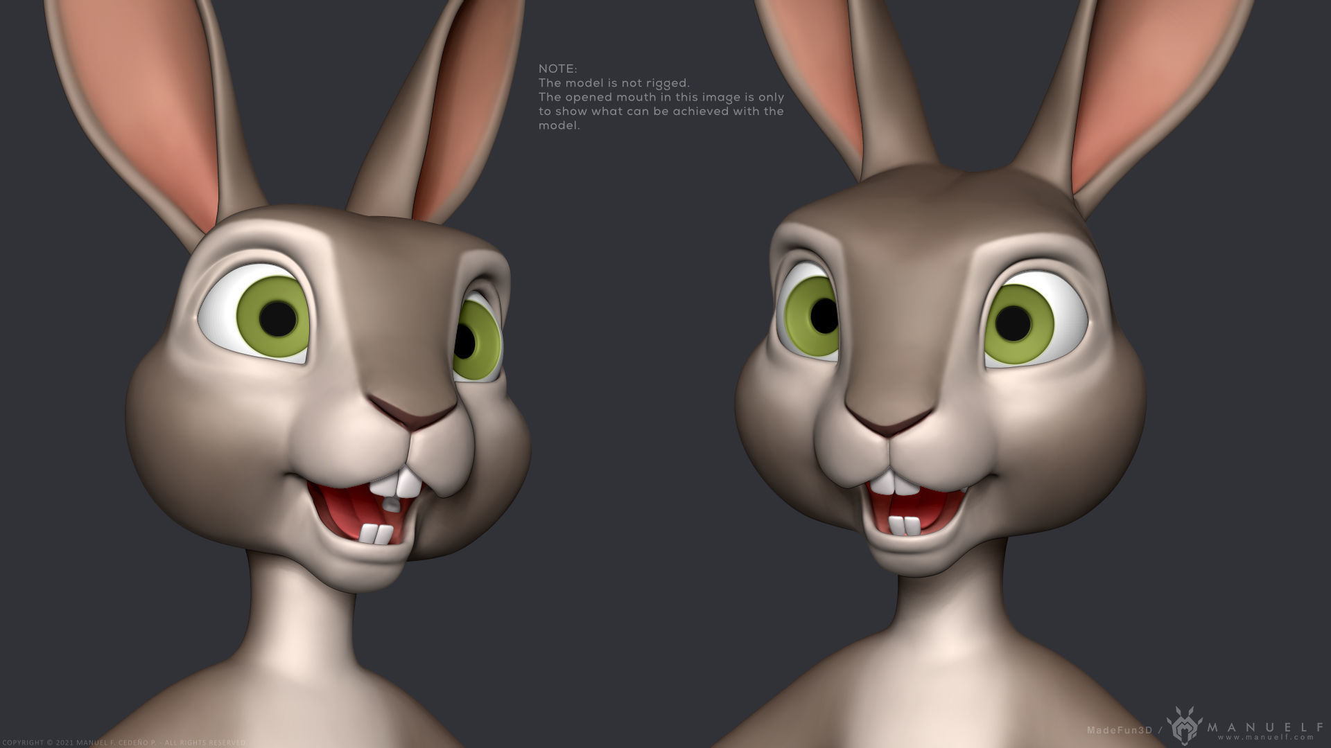 Stylized Cartoon Rabbit - Biped 3D model_8
