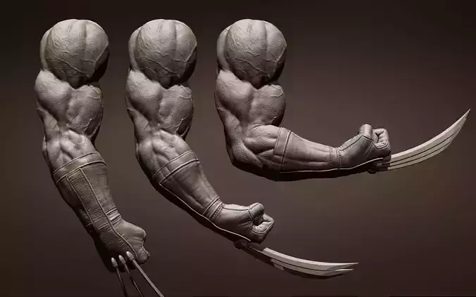 Wolverine arm