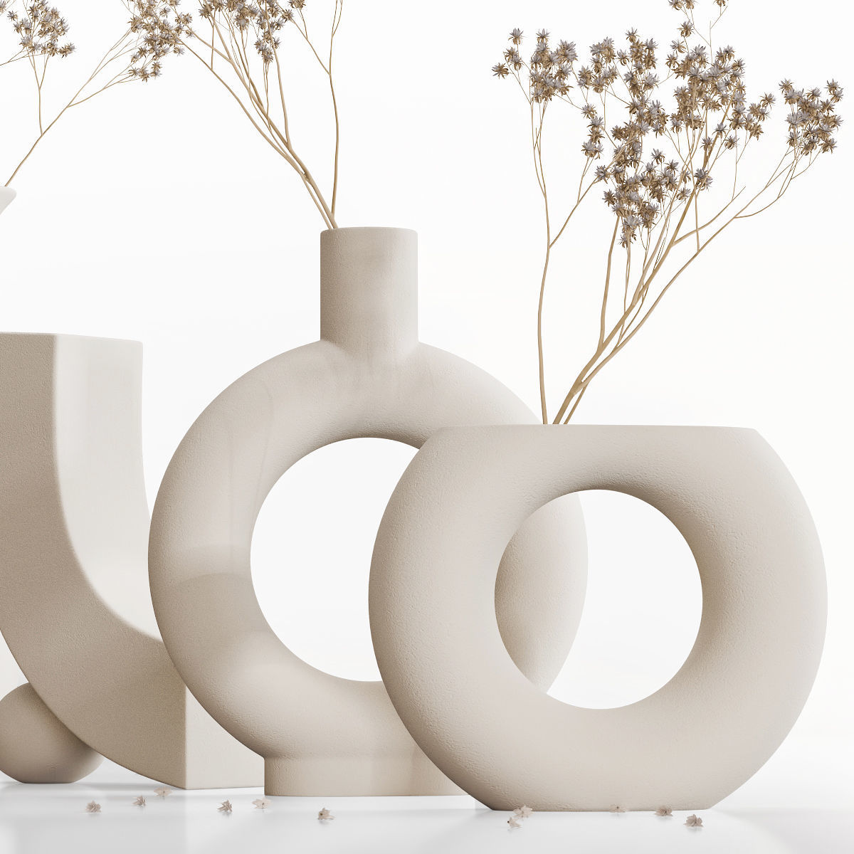 Dry flowers 8 3D model_3