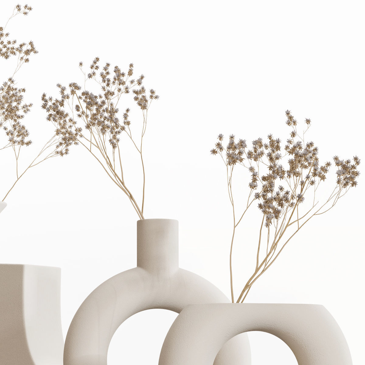 Dry flowers 8 3D model_2