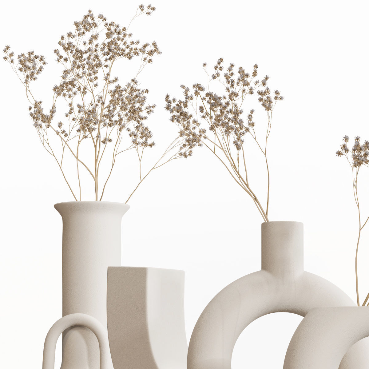 Dry flowers 8 3D model_1