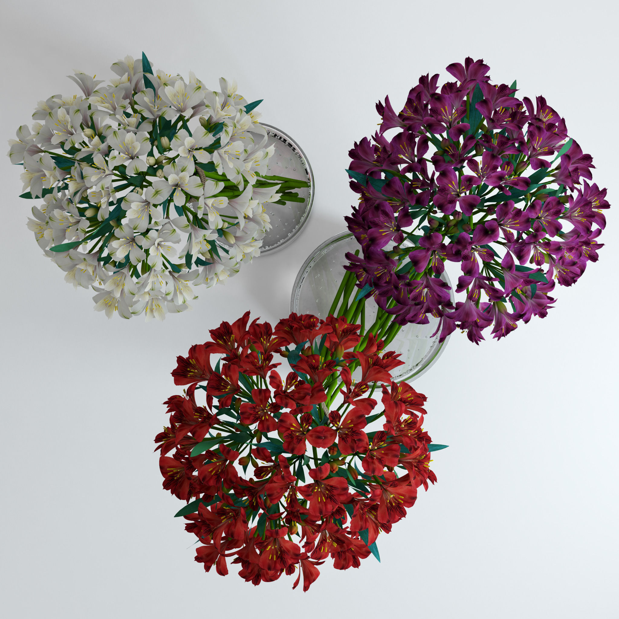 Alstroemeria flowers in glass vase 3D model_1