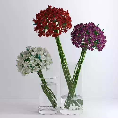 Alstroemeria flowers in glass vase
