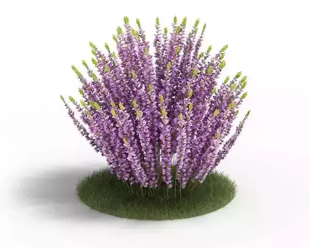 Beautiful Purple Flower Decoration