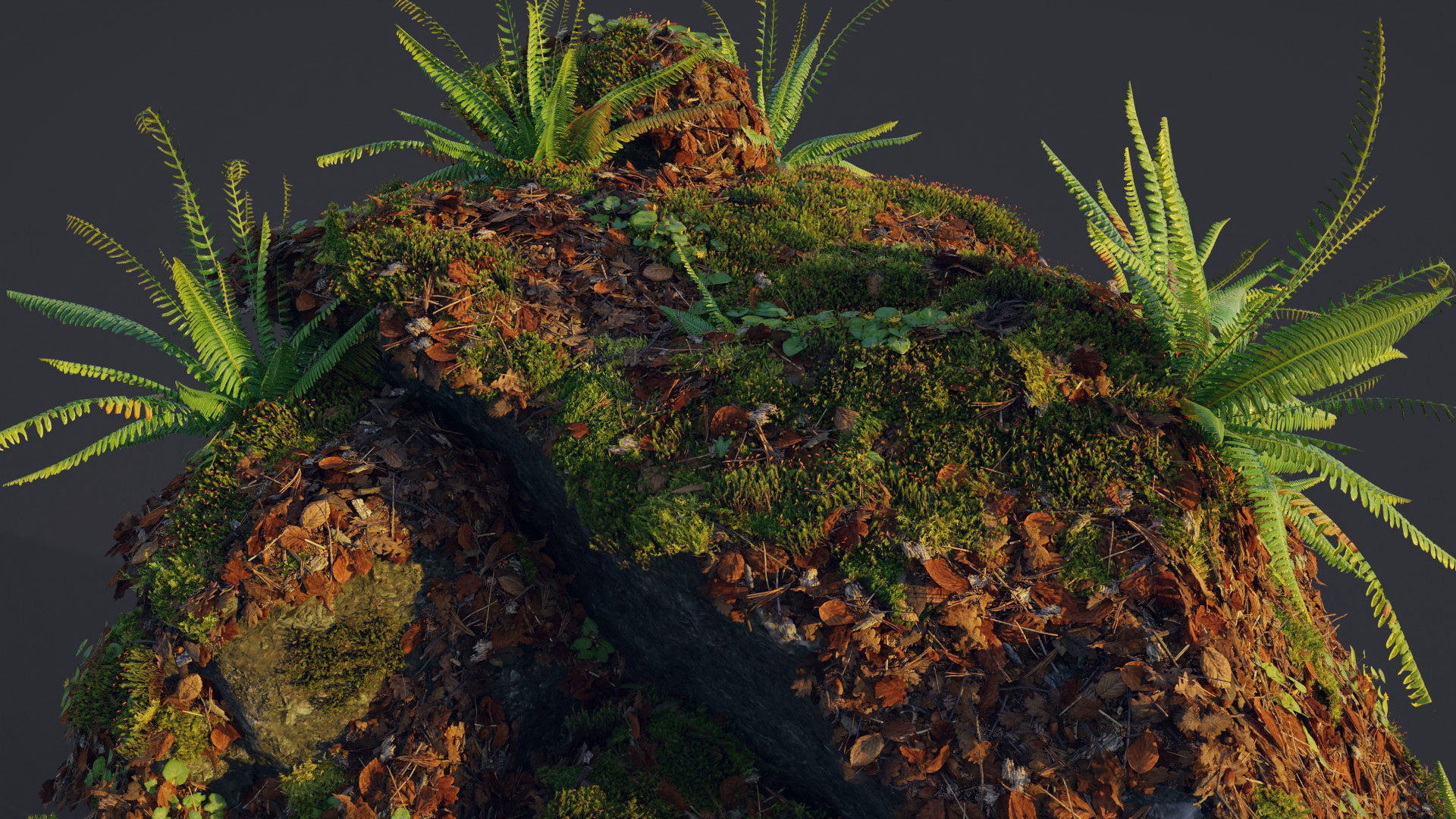 Moss Biome Ground Scatter - 3D AssetKit PBR Low-poly 3D model_10