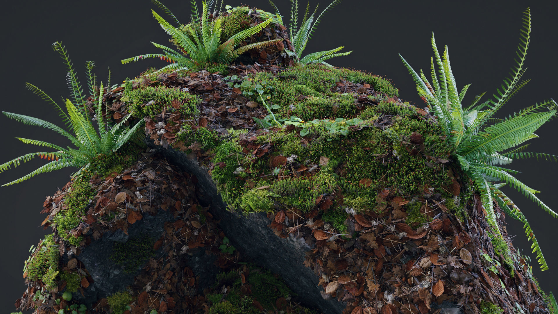 Moss Biome Ground Scatter - 3D AssetKit PBR Low-poly 3D model_8