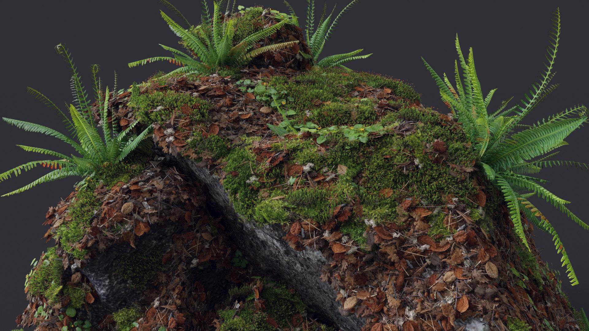 Moss Biome Ground Scatter - 3D AssetKit PBR Low-poly 3D model_9