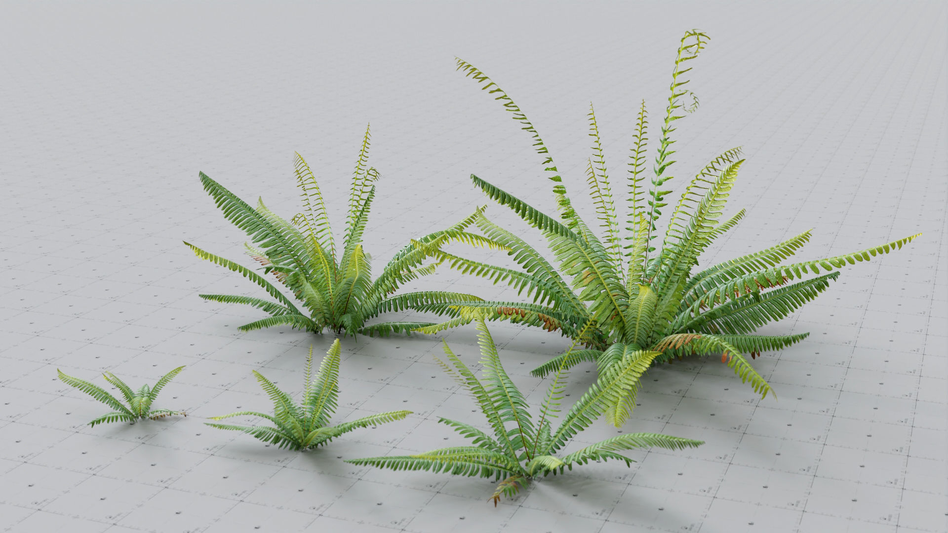 Moss Biome Ground Scatter - 3D AssetKit PBR Low-poly 3D model_21