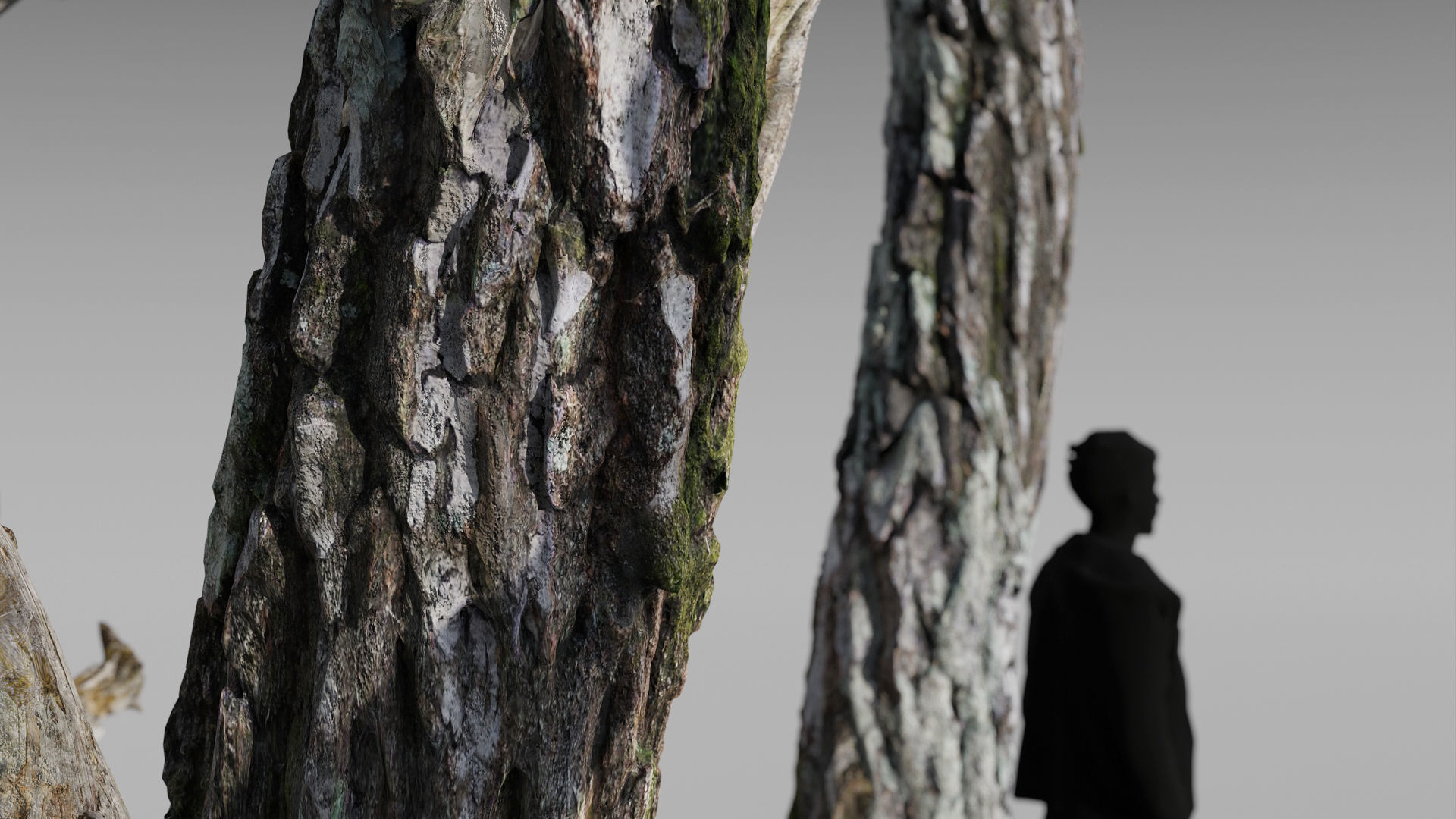 Moss Biome Ground Scatter - 3D AssetKit PBR Low-poly 3D model_11