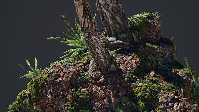 Moss Biome Ground Scatter - 3D AssetKit PBR Low-poly 3D model 6