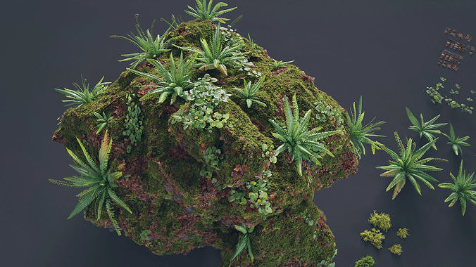 Moss Biome Ground Scatter - 3D AssetKit PBR Low-poly 3D model 7