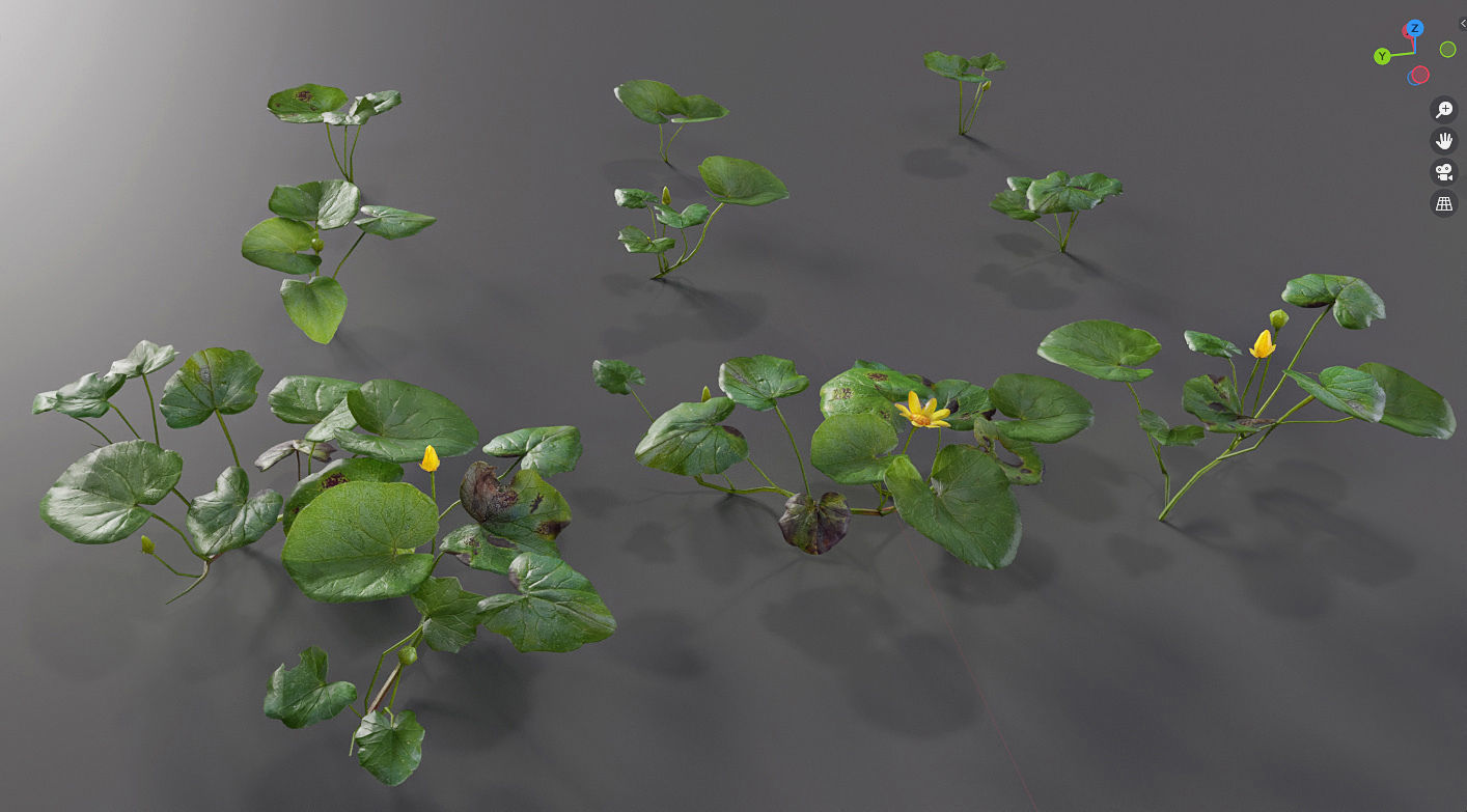Moss Biome Ground Scatter - 3D AssetKit PBR Low-poly 3D model_30