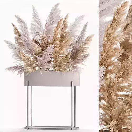 Decorative Bouquet of dried pampas grass 190