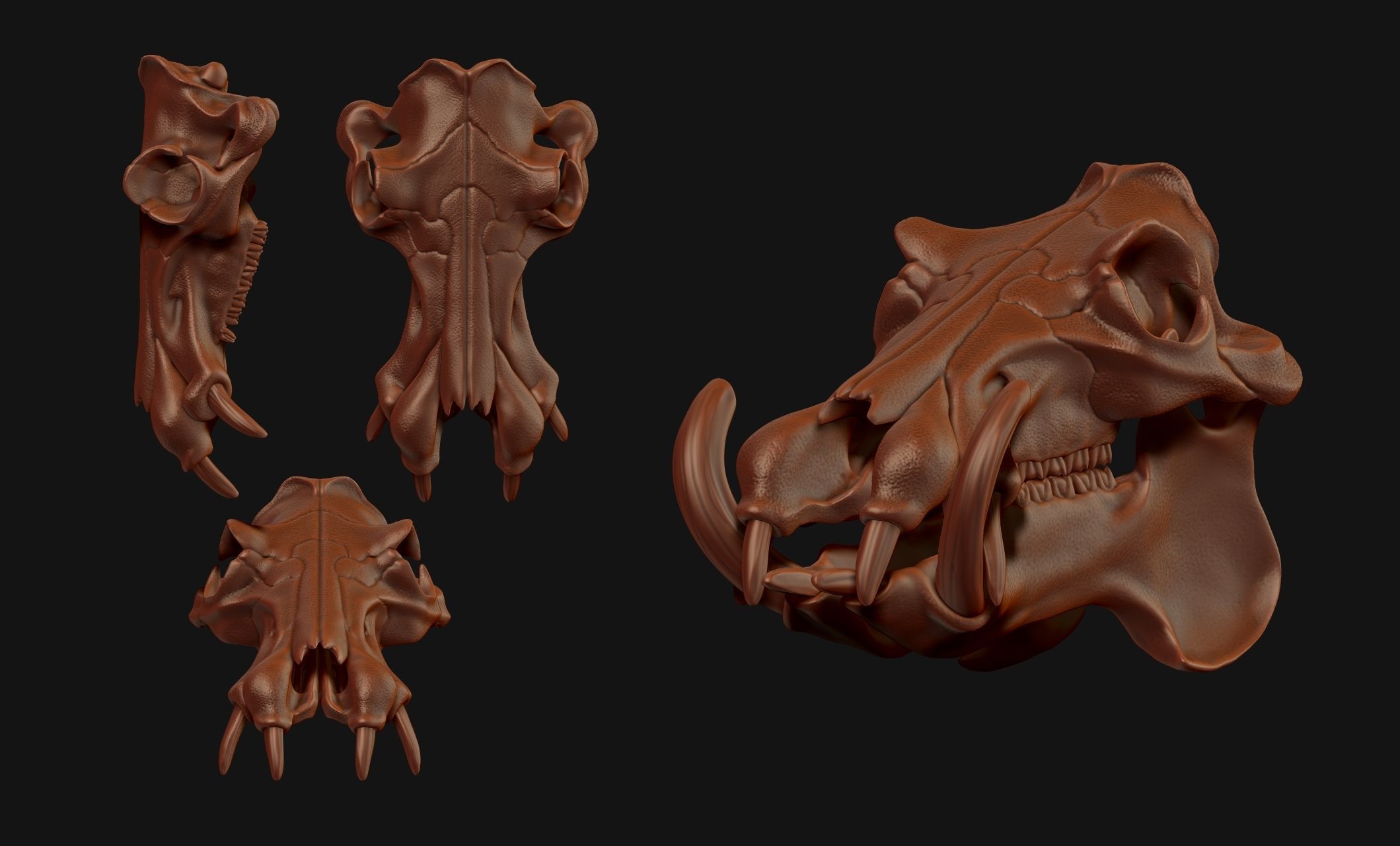 Hippopotamus Skull - CNC and 3D print model_8