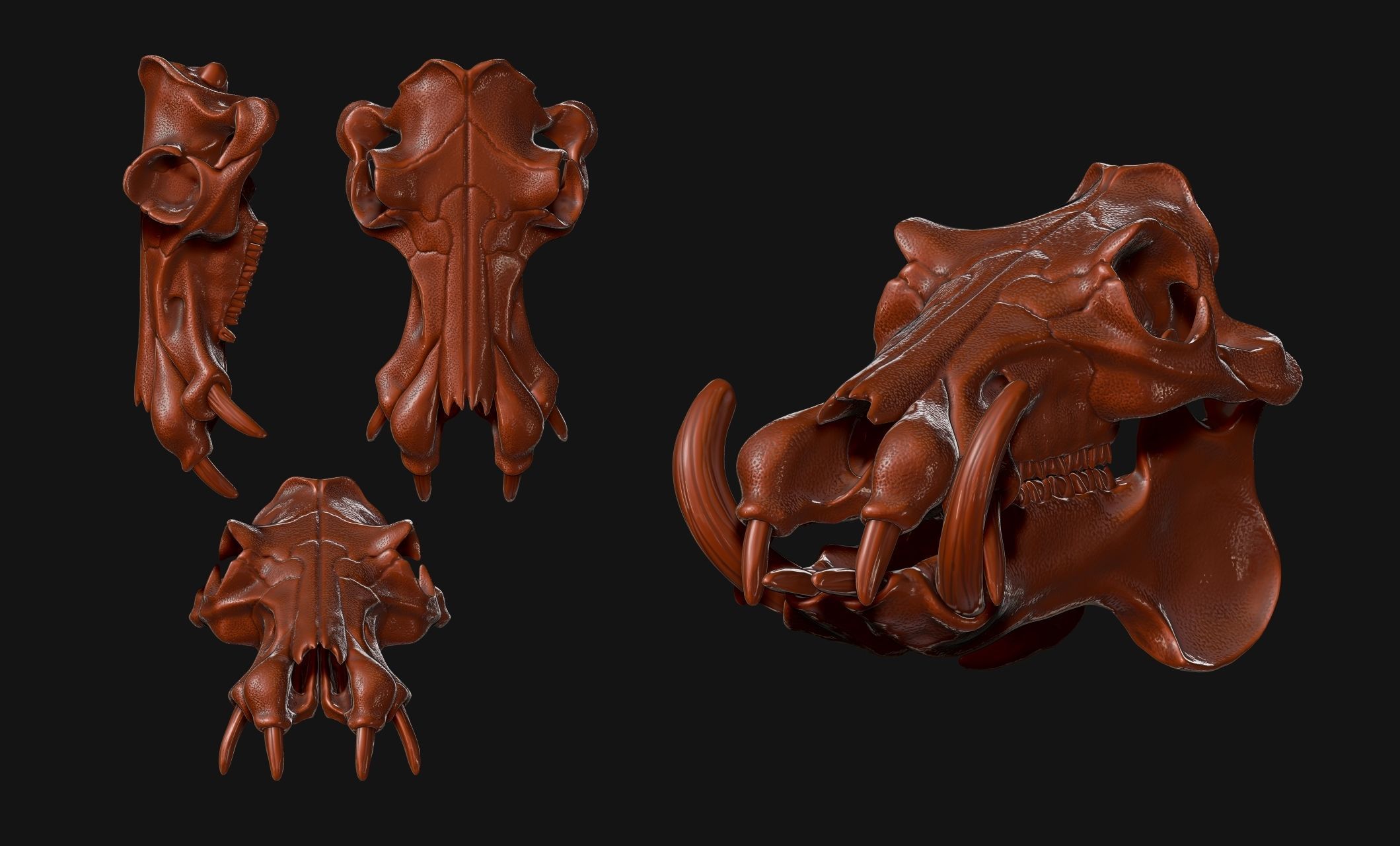 Hippopotamus Skull - CNC and 3D print model_21