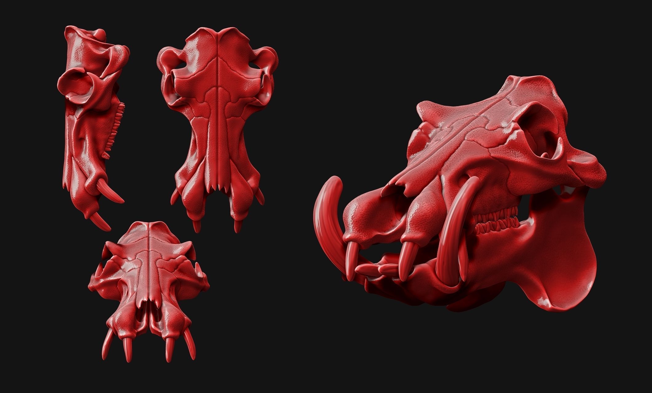 Hippopotamus Skull - CNC and 3D print model_5