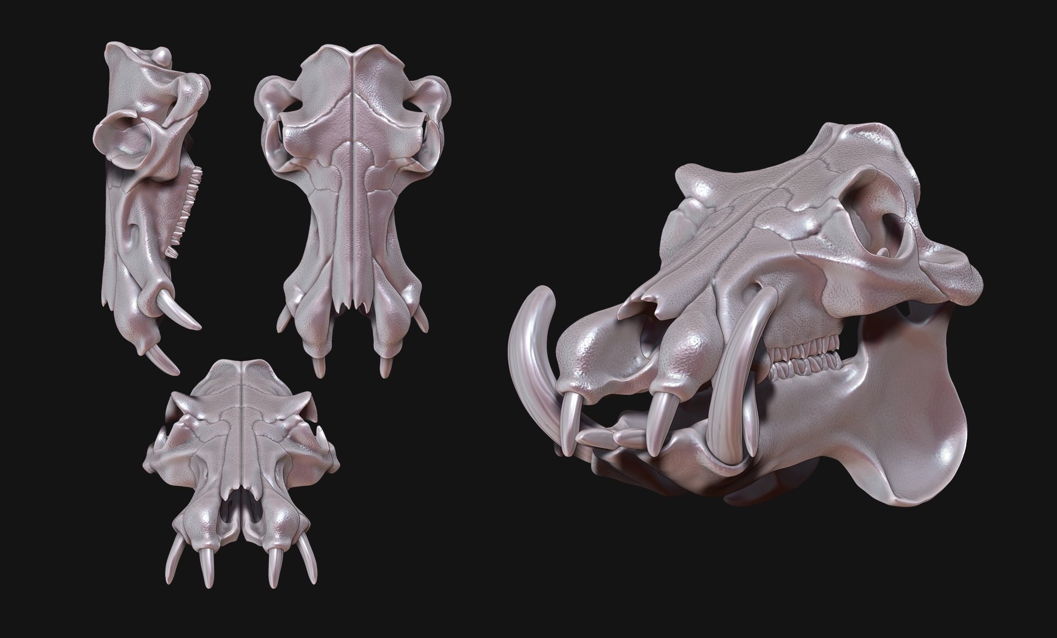 Hippopotamus Skull - CNC and 3D print model_9