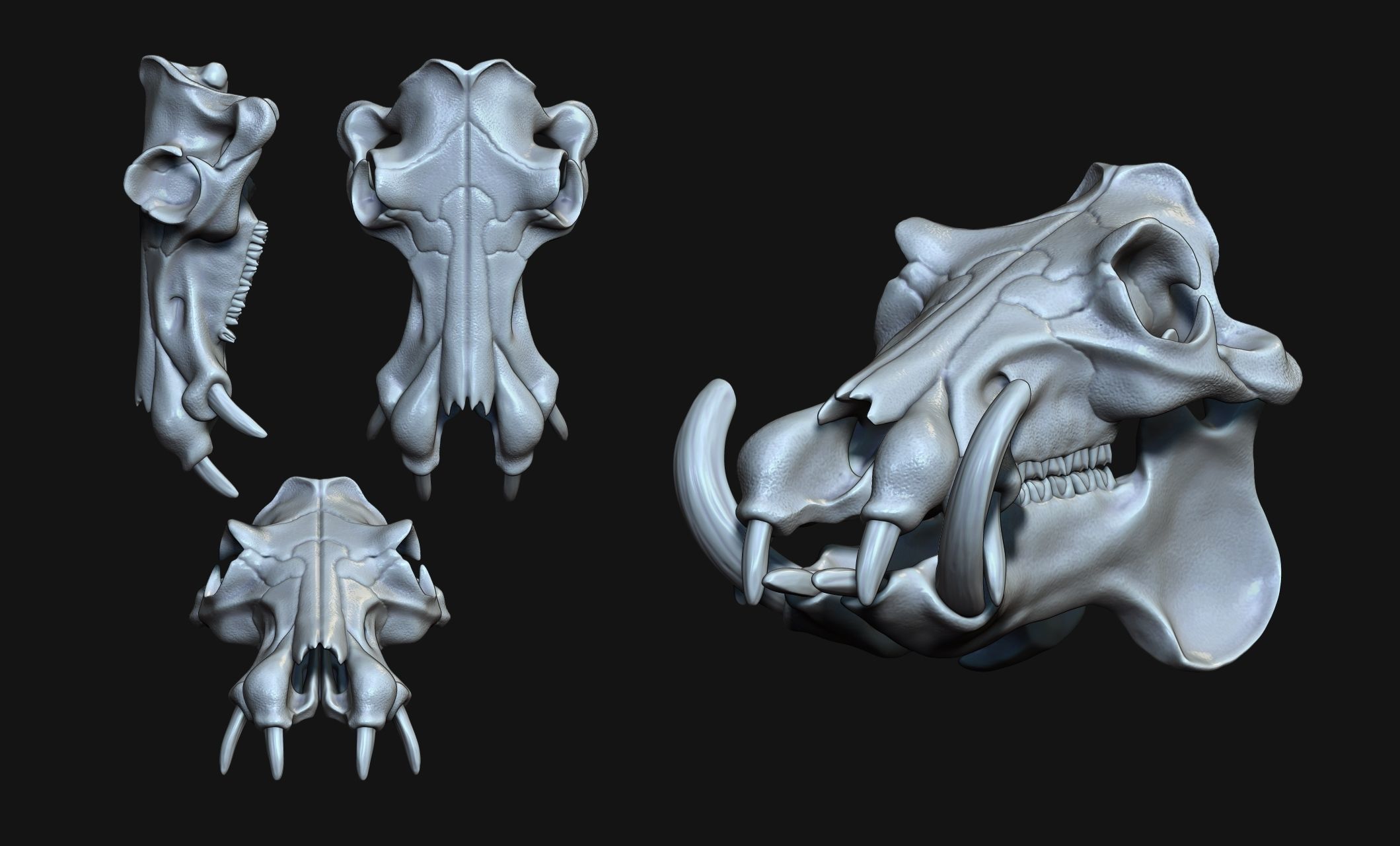 Hippopotamus Skull - CNC and 3D print model_3