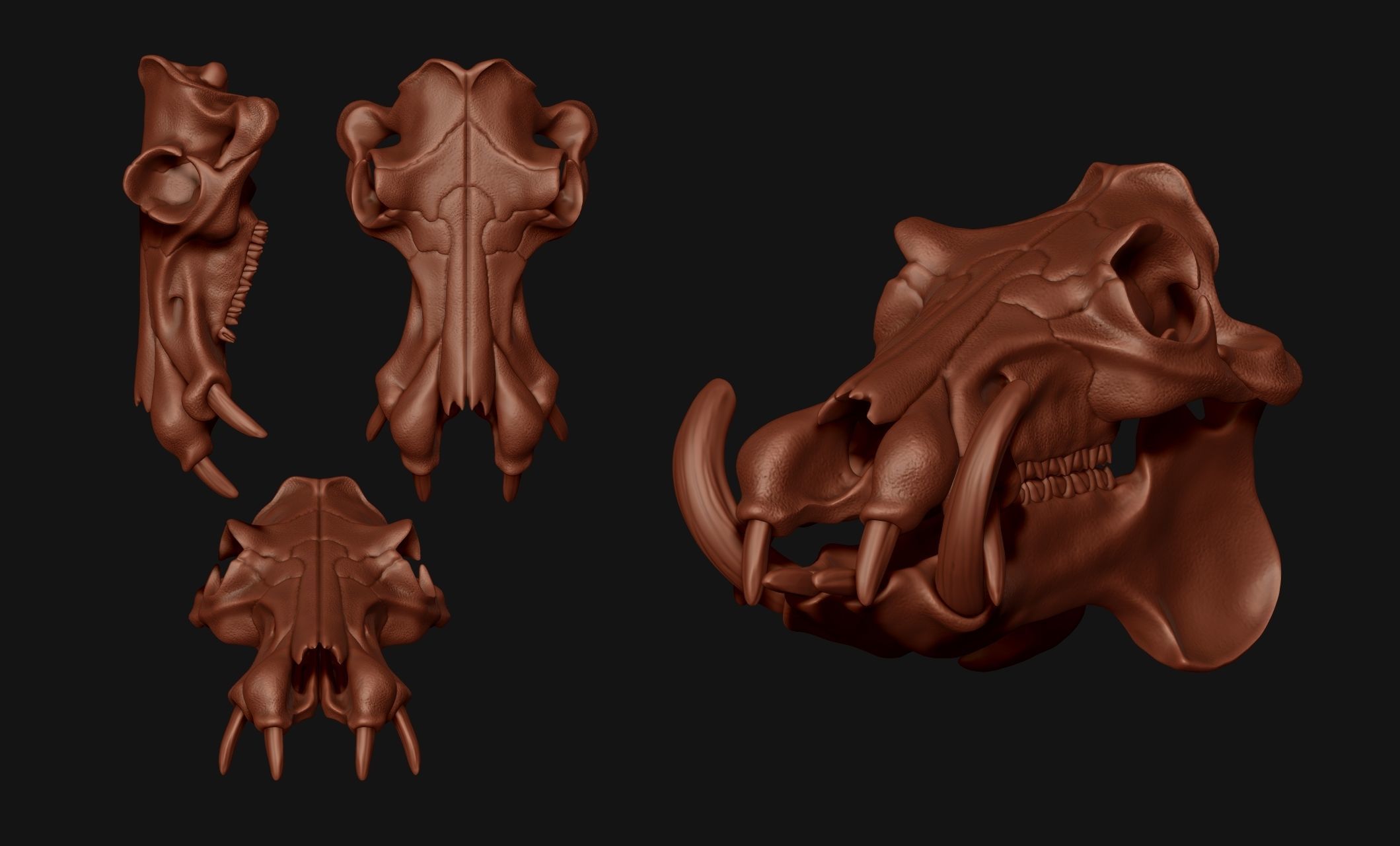 Hippopotamus Skull - CNC and 3D print model_18