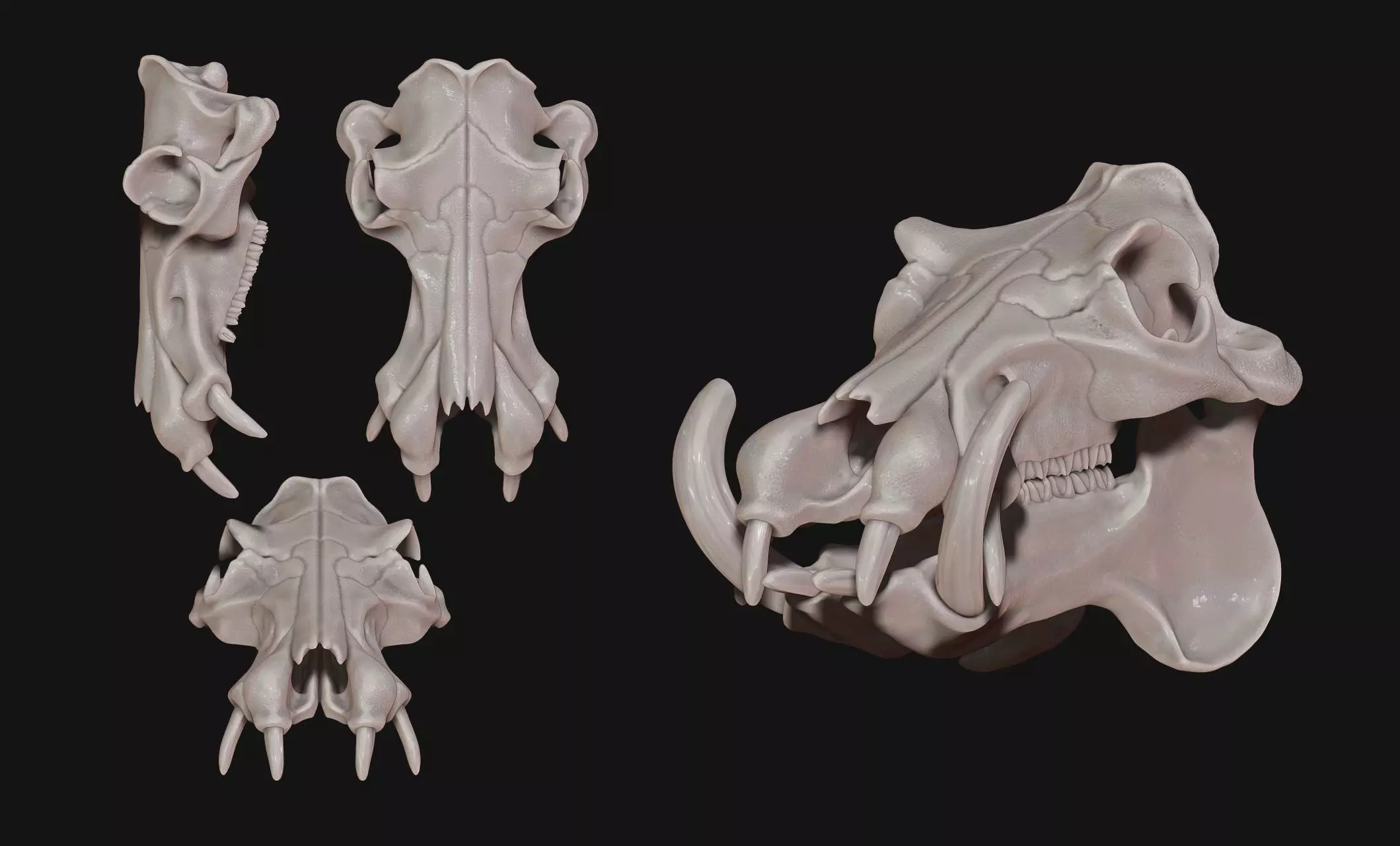 Hippopotamus Skull - CNC and 3D print model_0