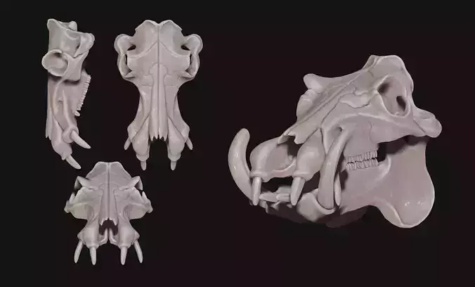 Hippopotamus Skull - CNC and 3D print model
