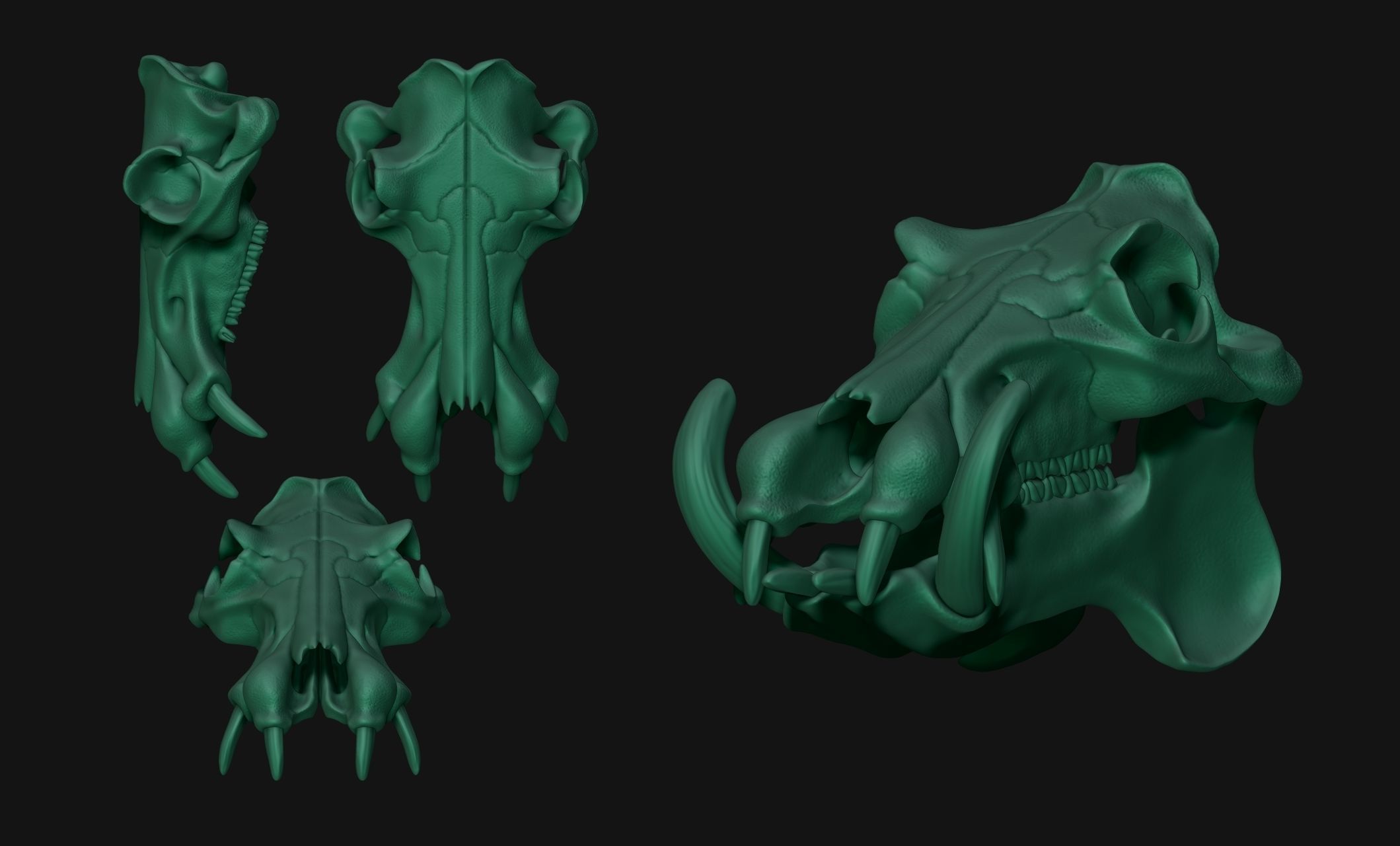 Hippopotamus Skull - CNC and 3D print model_13