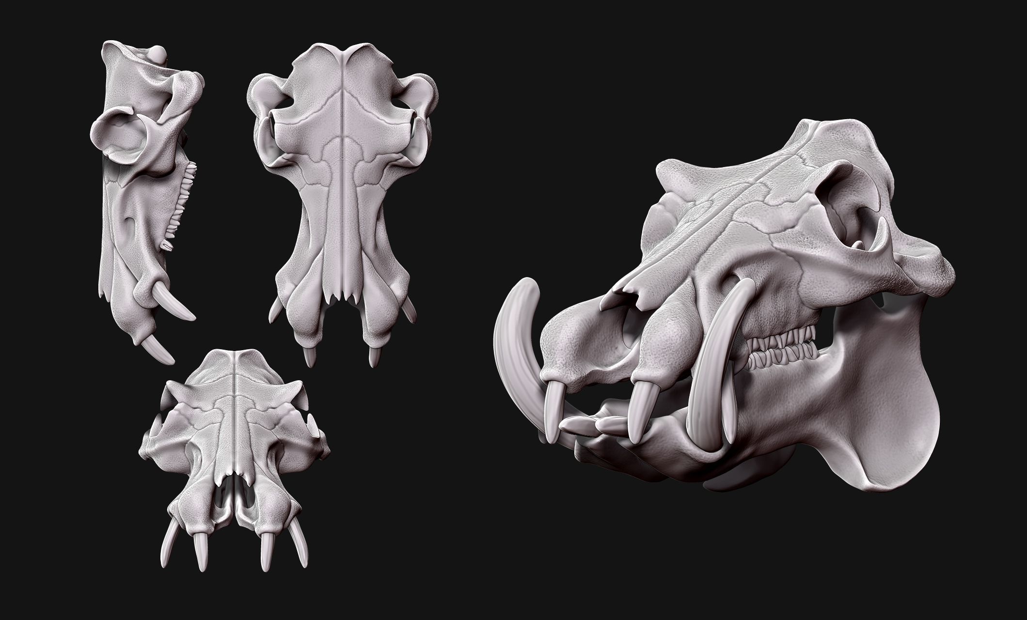 Hippopotamus Skull - CNC and 3D print model_19