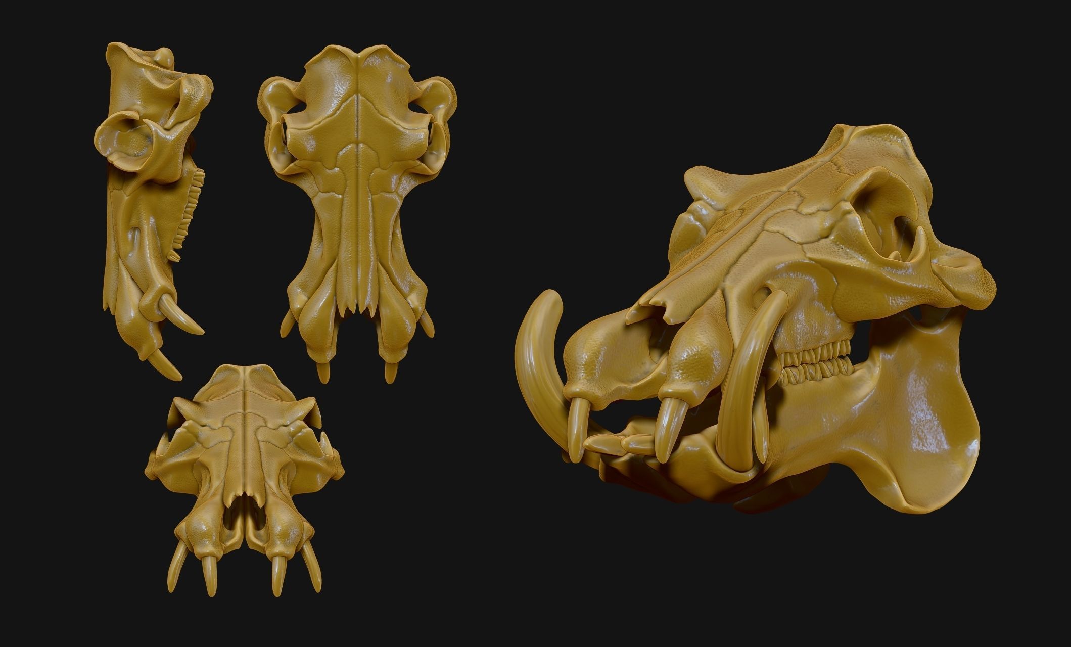 Hippopotamus Skull - CNC and 3D print model_17